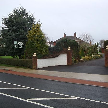 Meadow View B&B Navan Exteriér fotografie